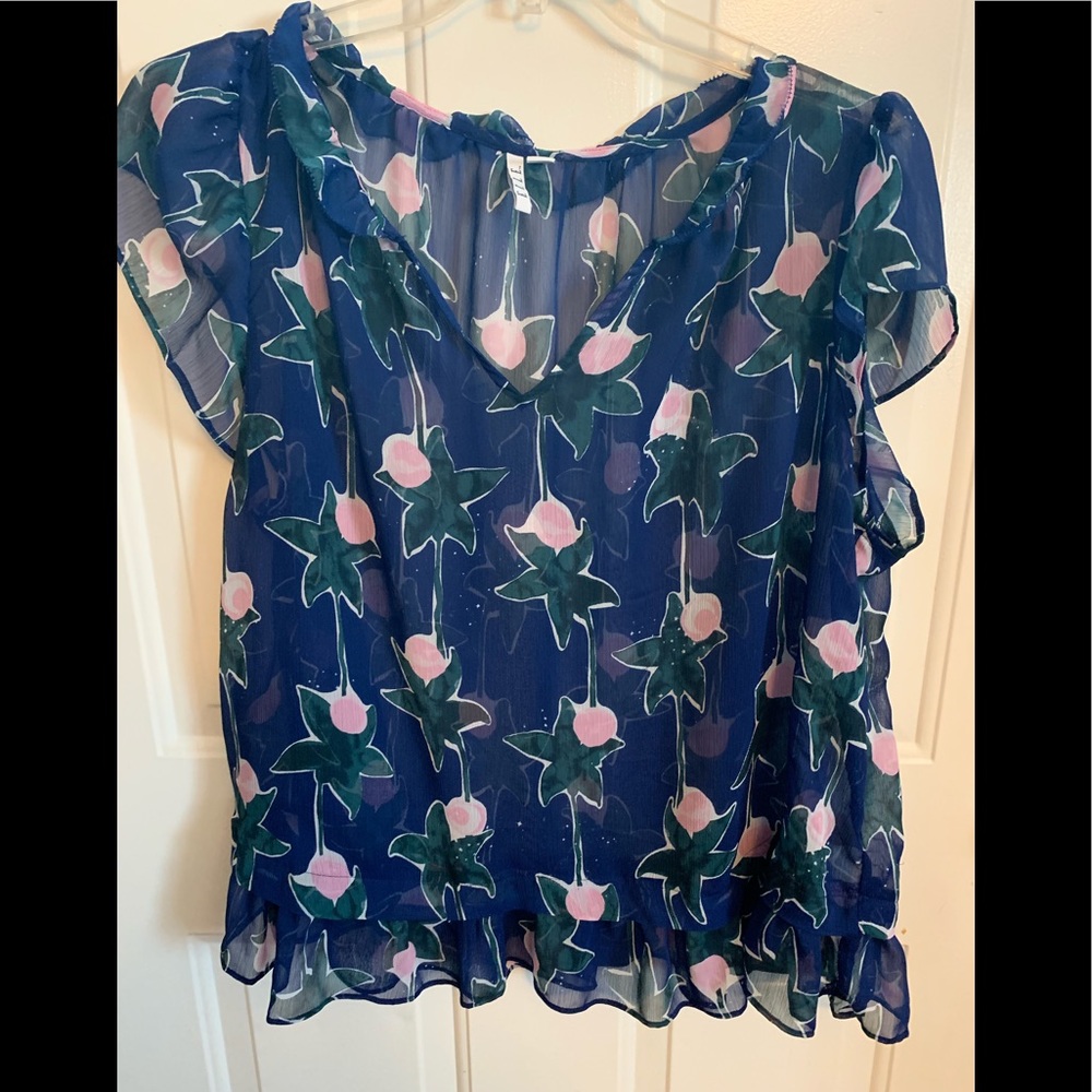 Sheer Blouse